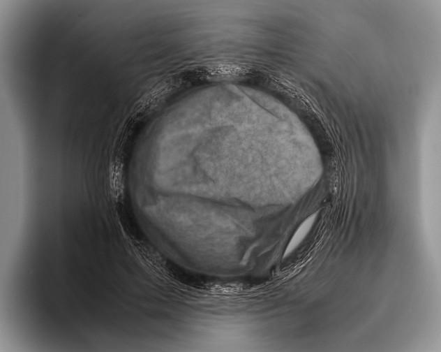 X0000095940599200802081239