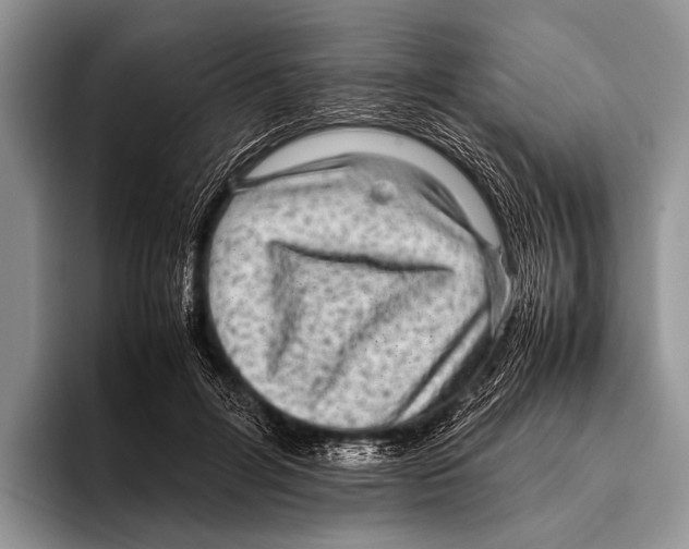 X0000095940600200802081239