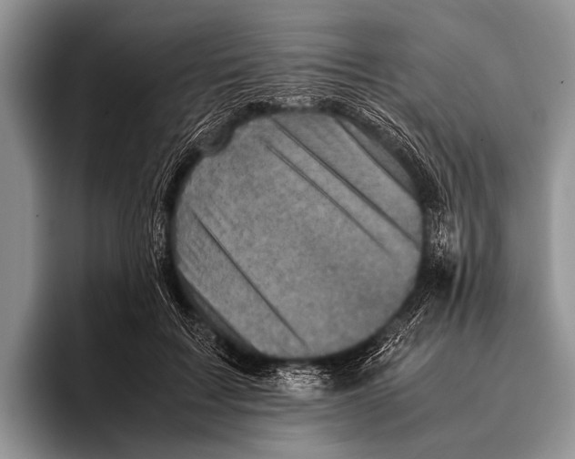 X0000095940603200802081239