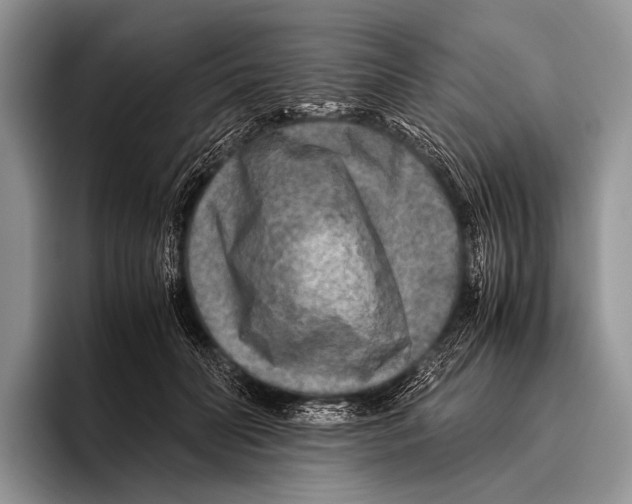 X0000095940606200802081239