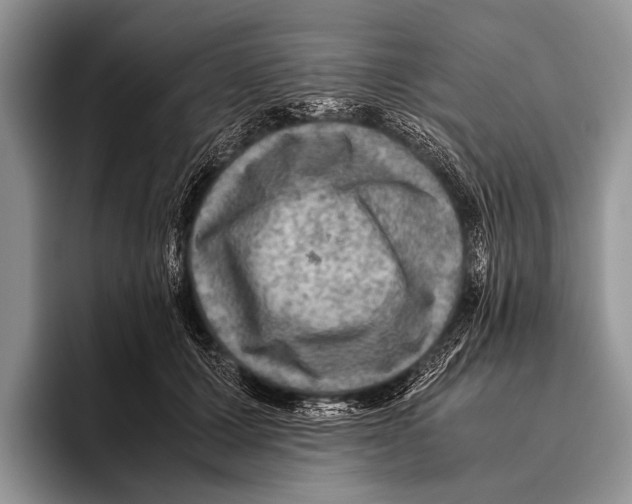 X0000095940607200802081239