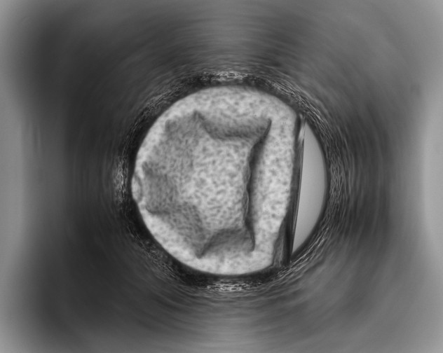 X0000095940608200802081238