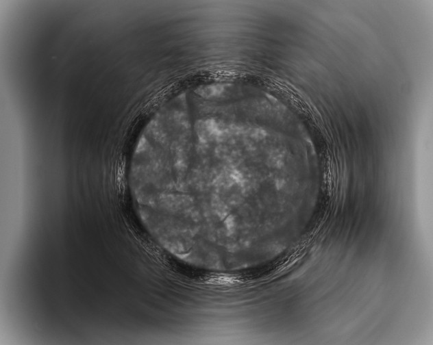 X0000095940610200802081238