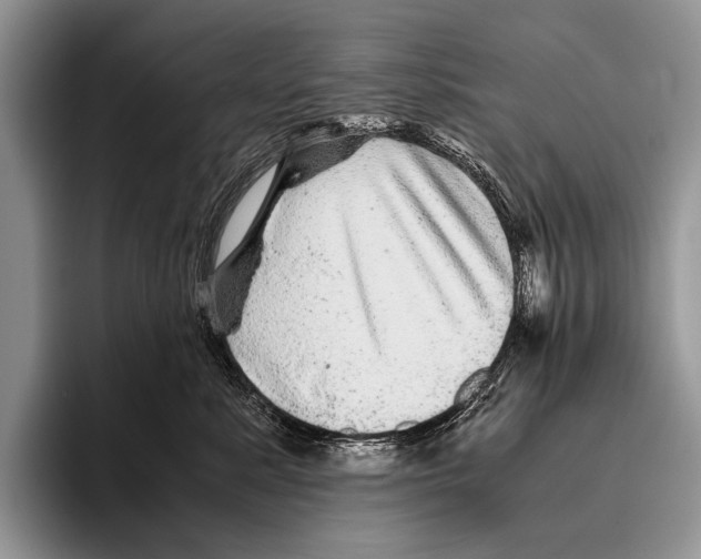 X0000095940619200802081238