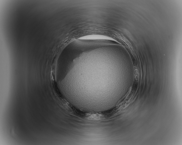 X0000095940621200802081238