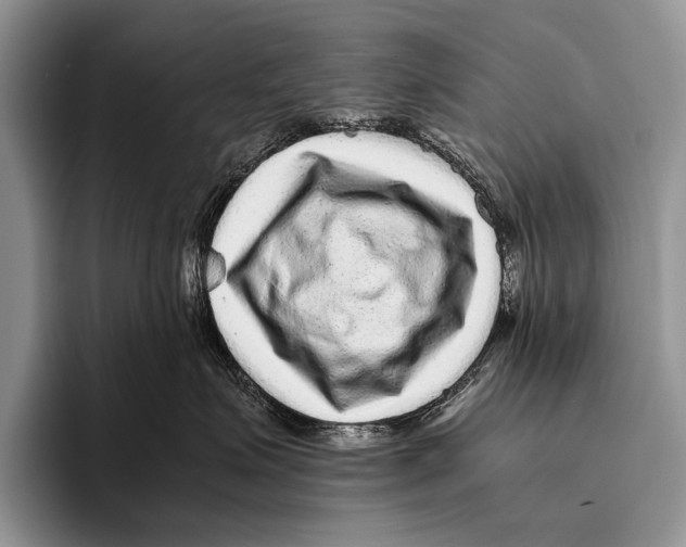 X0000095940623200802081238