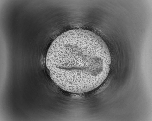 X0000095940624200802081238