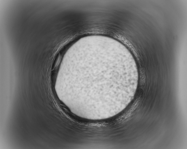 X0000095940625200802081238