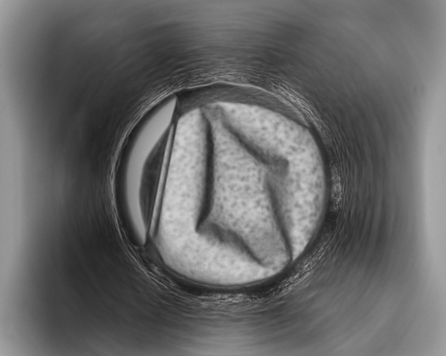 X0000095940626200802081238