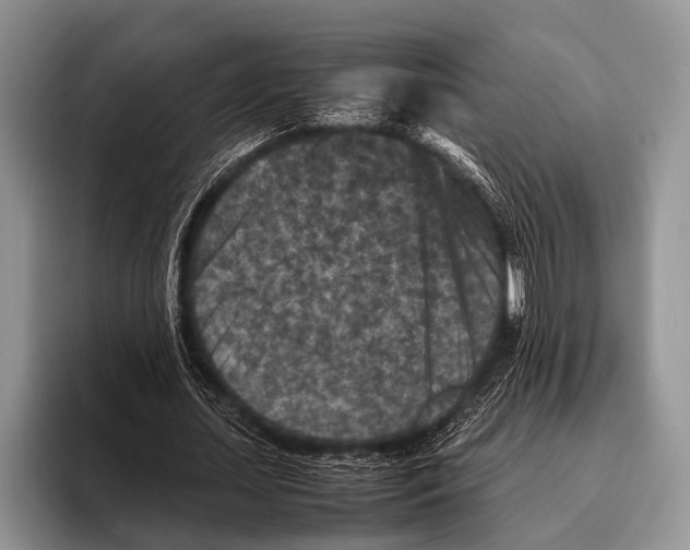 X0000095940627200802081238