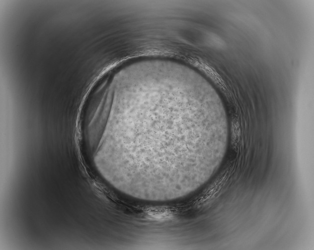 X0000095940628200802081238