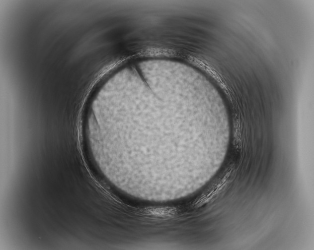 X0000095940629200802081238