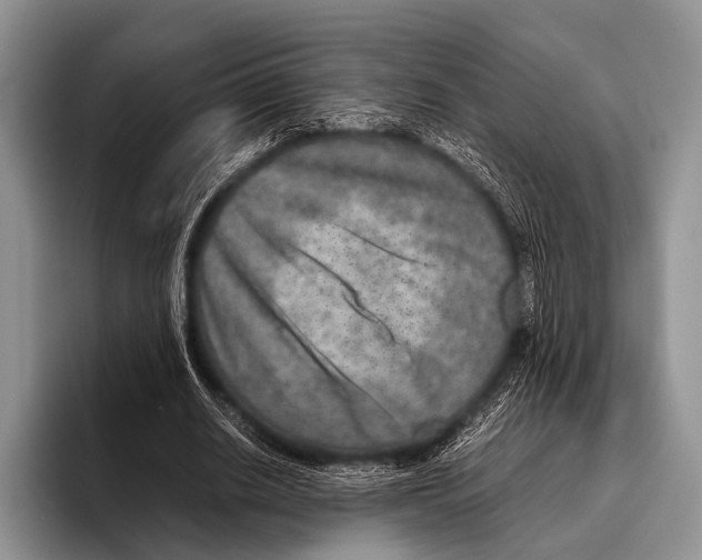 X0000095940630200802081238