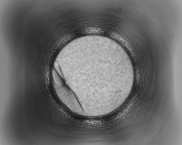 X0000095940633200802081238