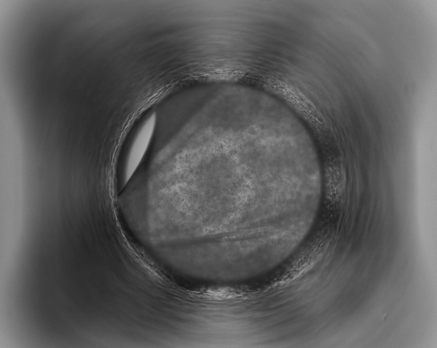 X0000095940634200802081238