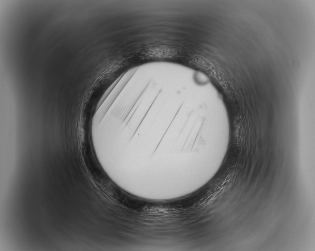 X0000095940635200802081238