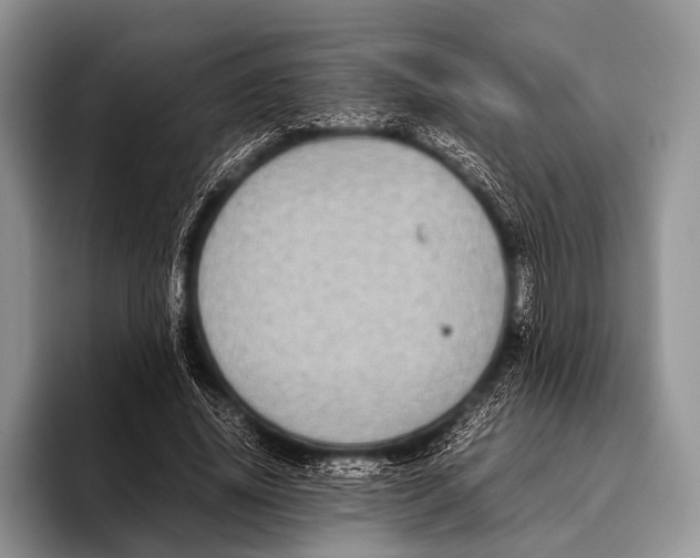 X0000095940636200802081238