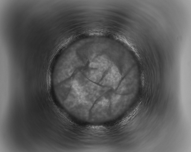 X0000095940637200802081238