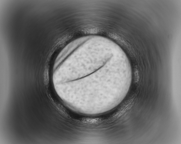 X0000095940638200802081238