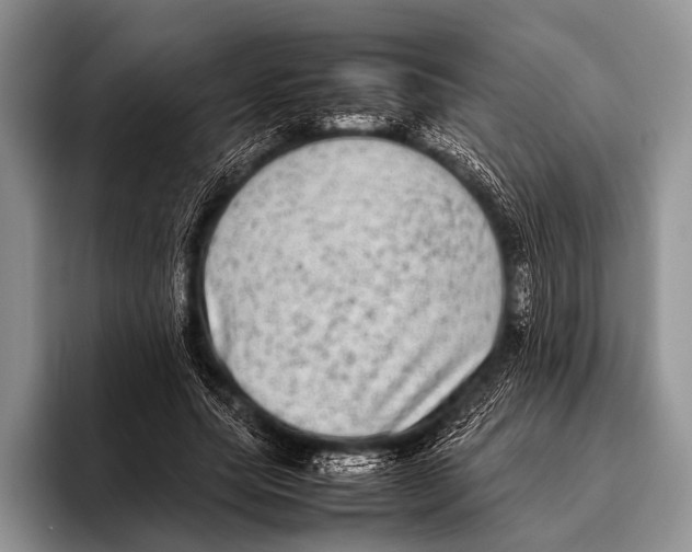 X0000095940639200802081238