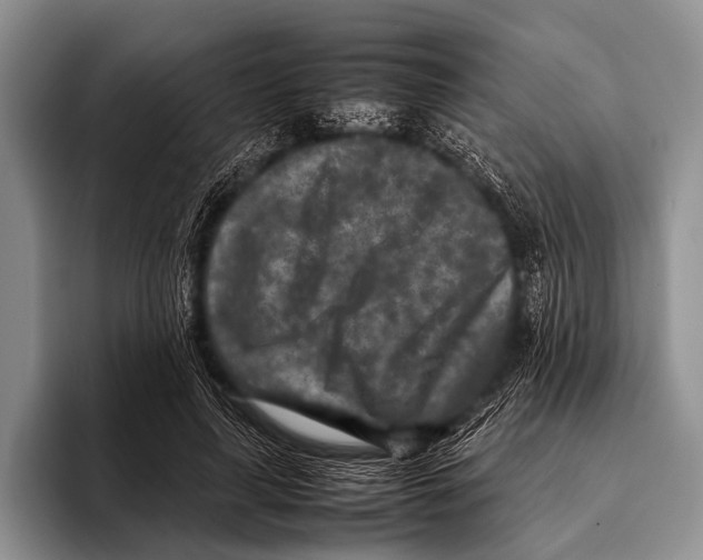 X0000095940643200802081238