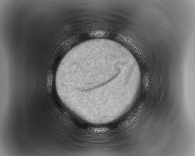 X0000095940645200802081238