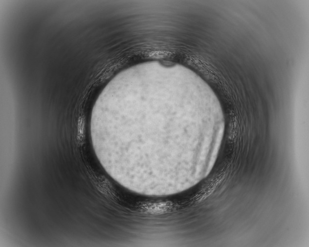 X0000095940646200802081238