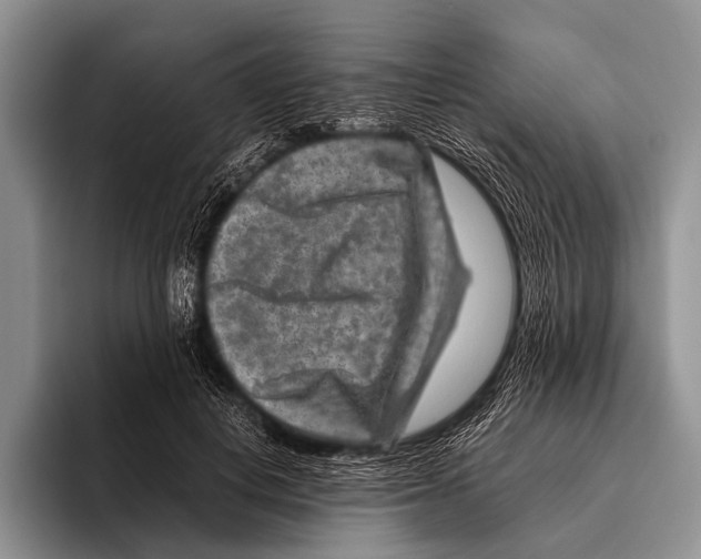 X0000095940648200802081238