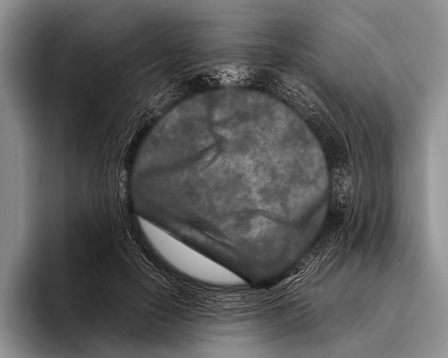 X0000095940650200802081238