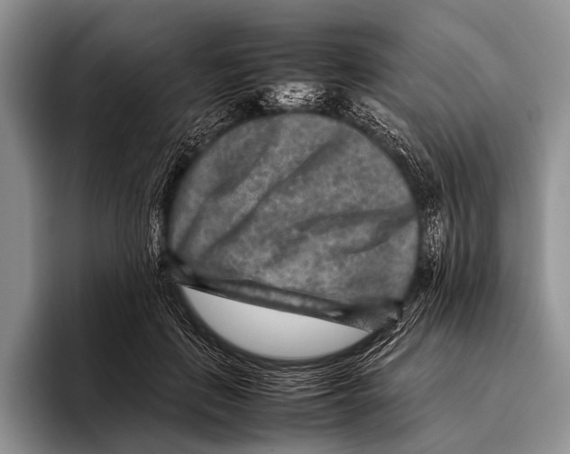 X0000095940651200802081238