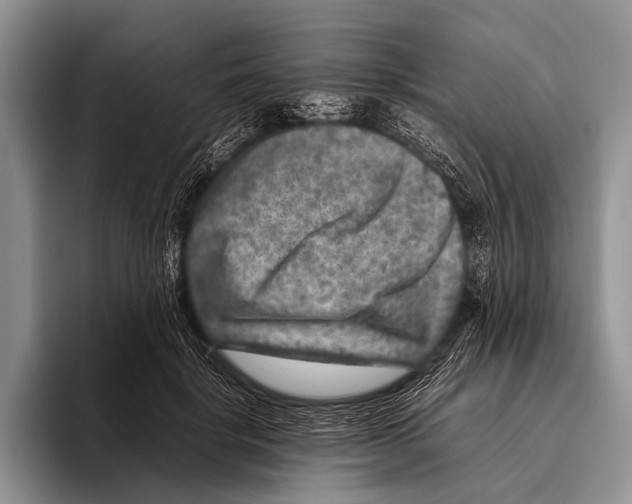 X0000095940652200802081238