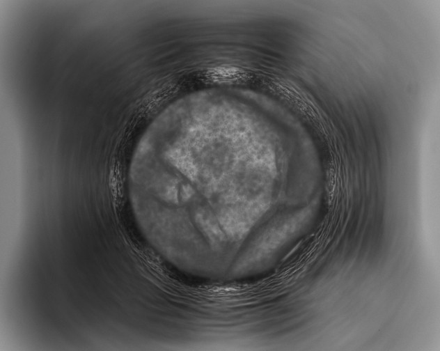 X0000095940653200802081238