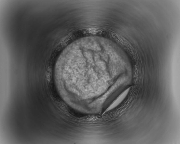 X0000095940656200802081238