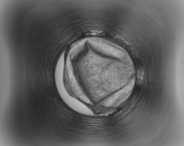 X0000095940657200802081238