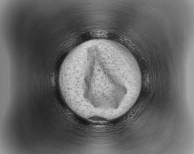 X0000095940658200802081238