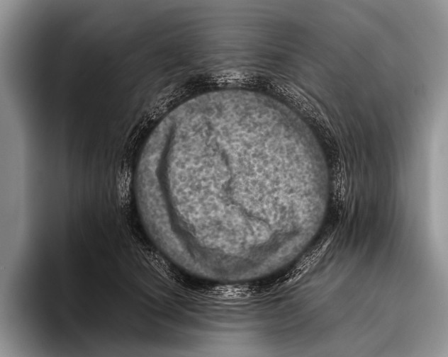 X0000095940660200802081238