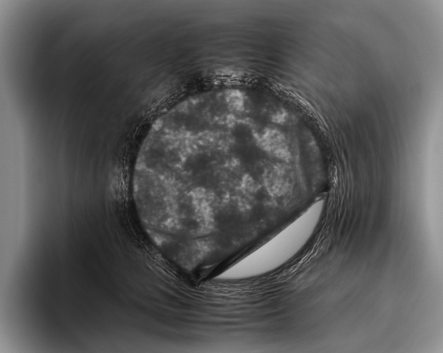 X0000095940661200802081238