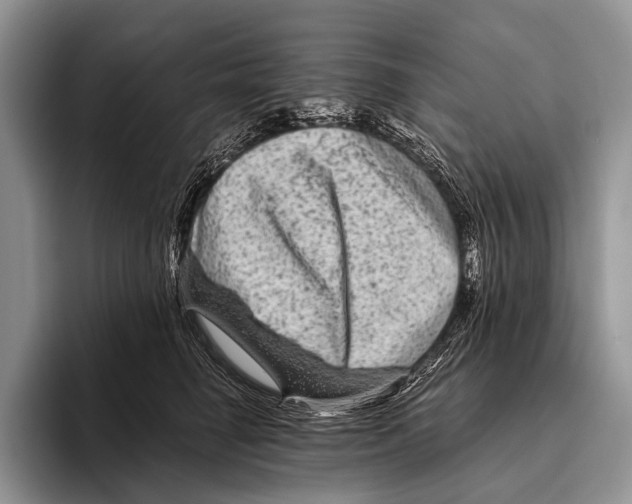 X0000095940662200802081238