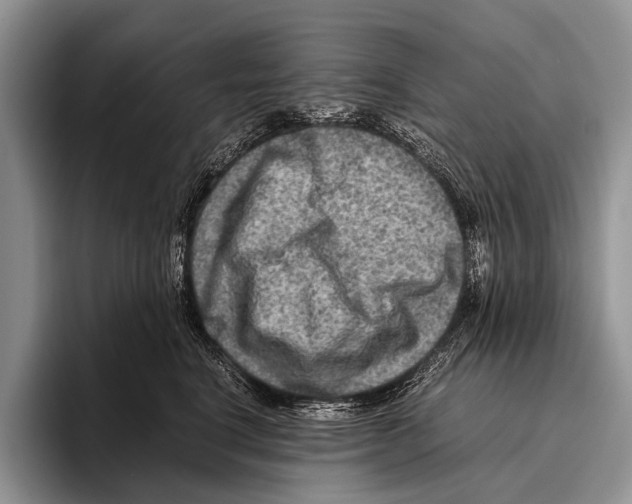 X0000095940664200802081238