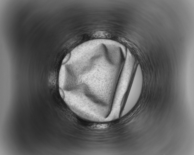 X0000095940665200802081238