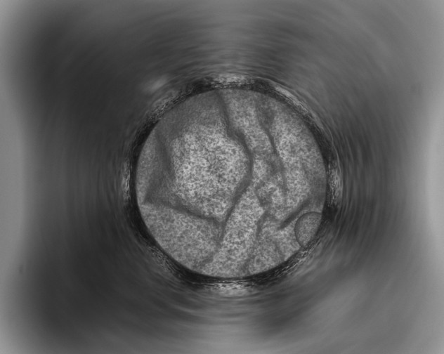 X0000095940668200802081238