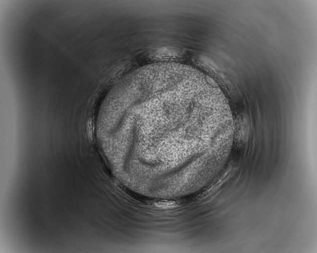 X0000095940669200802081238