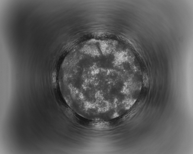 X0000095940670200802081238