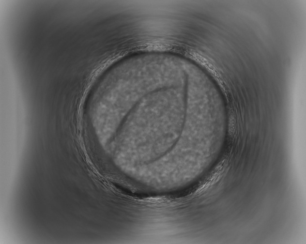 X0000095940673200802081238