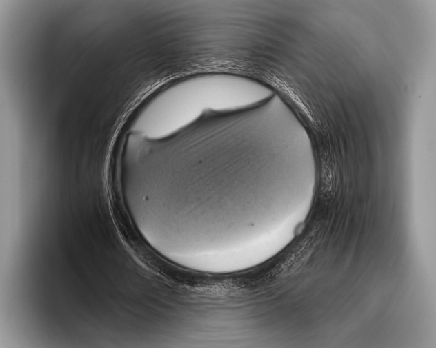 X0000095940674200802081238