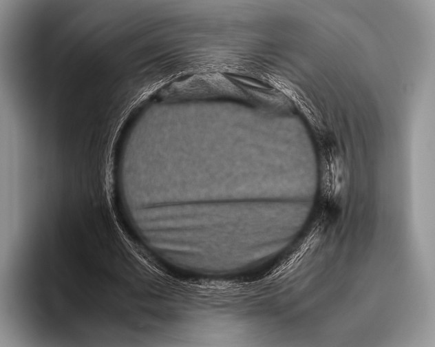 X0000095940677200802081238