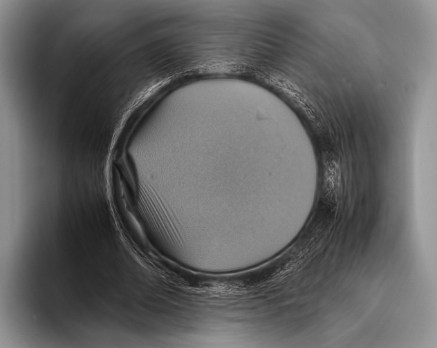 X0000095940678200802081238