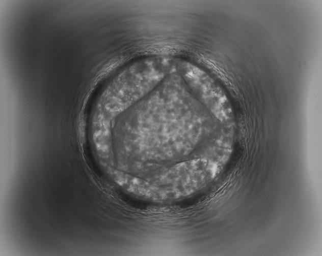 X0000095940679200802081238