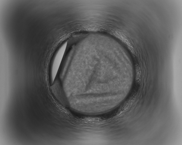 X0000095940681200802081238