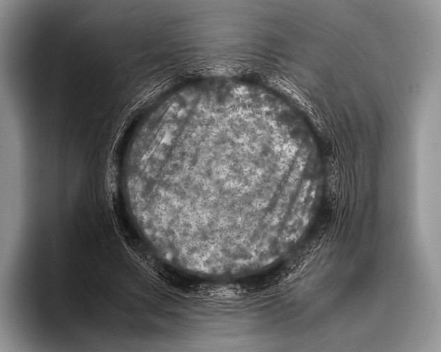 X0000095940683200802081238